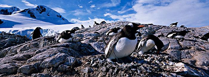 真劳模！失眠组四年发布三款3A游戏 PS第一方之最