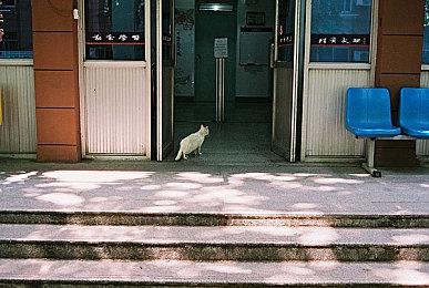 PS5 Pro规格曝光：GPU主频高达2.35GHz