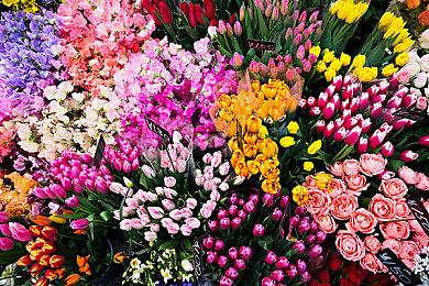 《绝地求生：大逃杀》正式登陆Epic游戏商城